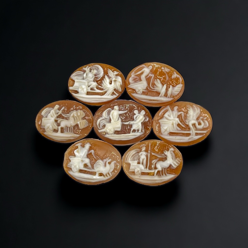 Antique Loose Cameo Hand Carved Shell 7 Days Of The Week Goddess Greek Story 7pc
